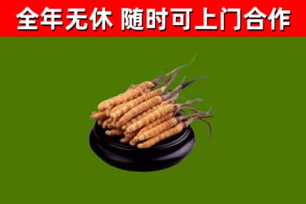 黔南回收冬虫夏草